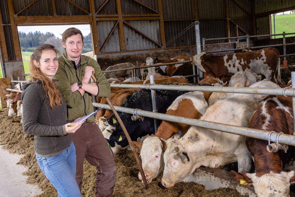 SPAR bekennt sich zu heimischen Rinderbauern